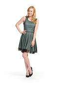 MINT Mesh lace skater dress
